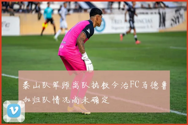 泰山队军师离队执教今治FC马德鲁加归队情况尚未确定
