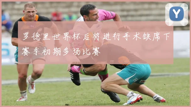 罗德里世界杯后将进行手术缺席下赛季初期多场比赛